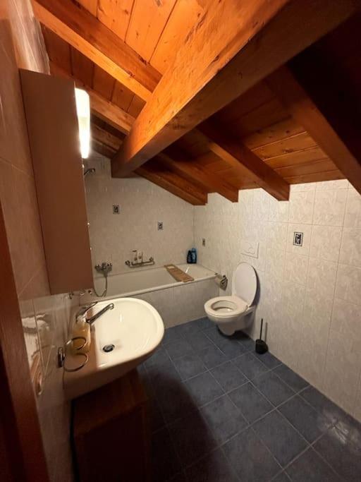 Swiss Chalet - Mountain And Lake View Blonay Ngoại thất bức ảnh